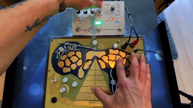 Enner jam - the rhythmic night frog смотреть онлайн