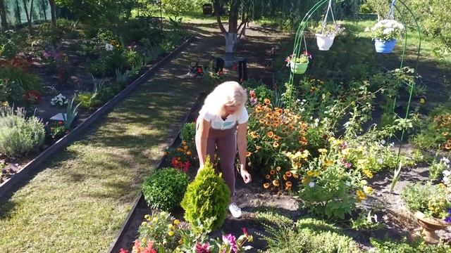 Клумбы вдоль дома Что посадить перед домом смотреть онлайн