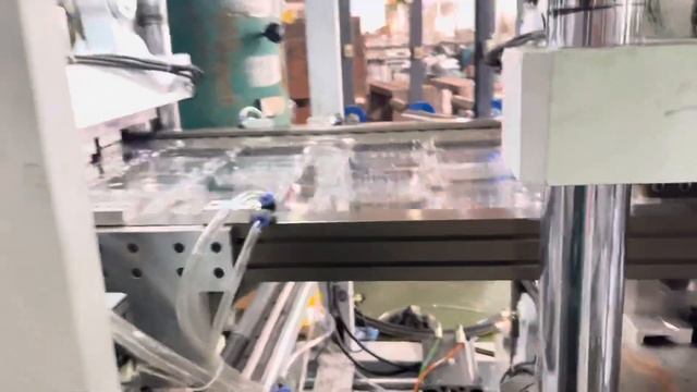 PET Fruit Trays Boxes Clamshell Punnets Thermoforming Machine To Egypt