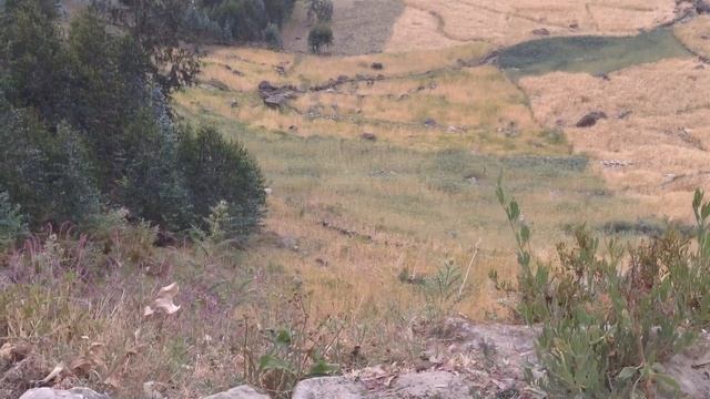 Монастырь в горах Эфиопии смотреть онлайн