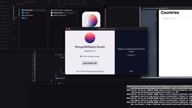 Realm+SwiftUI 2 One Many Relationship Part 1 смотреть онлайн