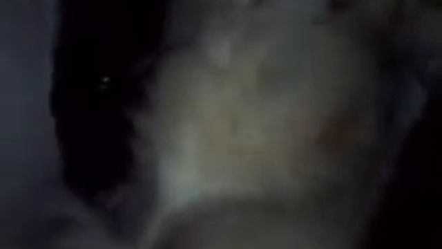 разделка козла который бахнул грузовика смотреть онлайн