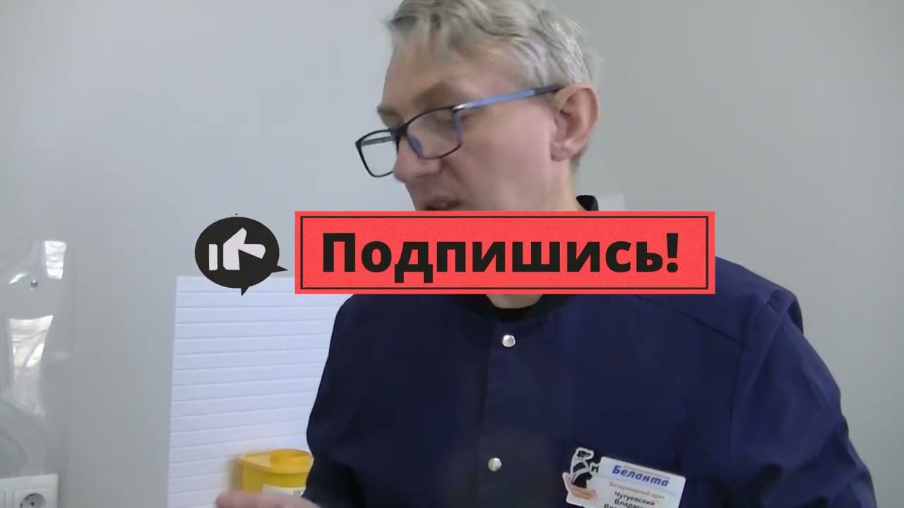 Школа ветврача орнитолога. Самый простой и оптимальный способ взвешивания птицы. смотреть онлайн