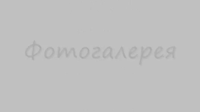 Русский охотничьий спаниель. =)