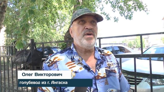 День города дневная программа