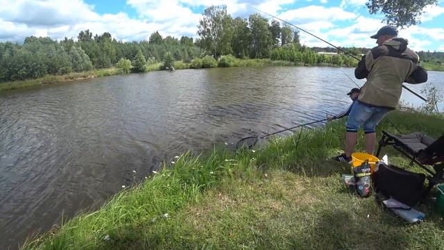 Карп платник Милоград смотреть онлайн