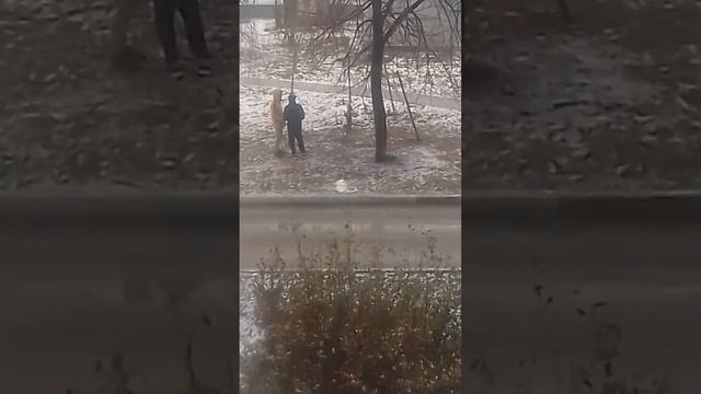 крутая собака