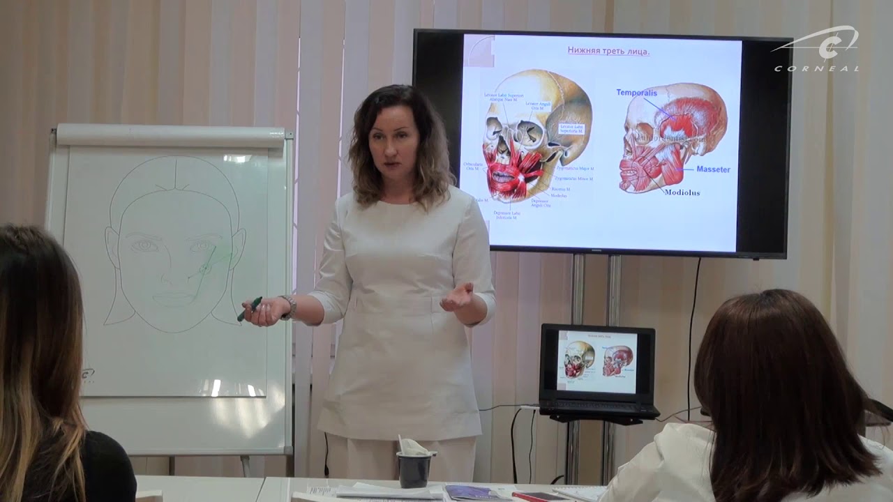 Мария Шашкина, теоретическая часть семинара по контурной пластике смотреть онлайн