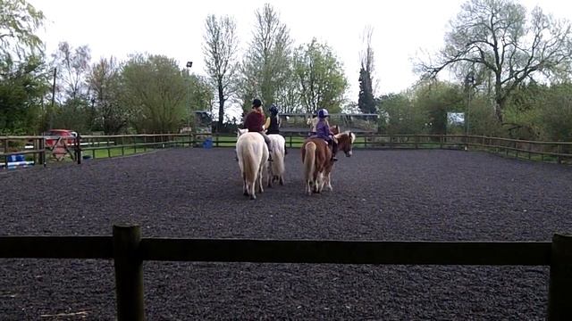 Easter 2017 Own a pony day drill ride! смотреть онлайн