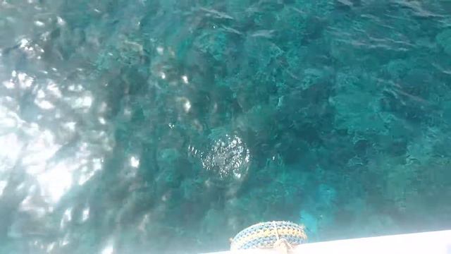 Красное море. Идеальная рыбалка:) смотреть онлайн