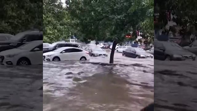 Потоп в Махачкале смотреть онлайн