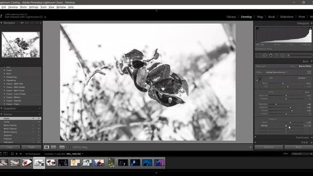 Онлайн конференция от выпускников. Первичная обработка в  Adobe Lightroom