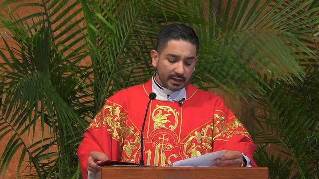 Palm Sunday of the Lord\'s Passion - 10am смотреть онлайн