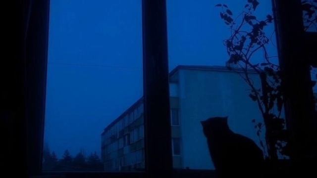 Fragile смотреть онлайн
