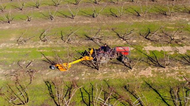 Технология удаления старых садов оборудованием Serrat. Удаление деревьев, пней и мульчирование смотреть онлайн
