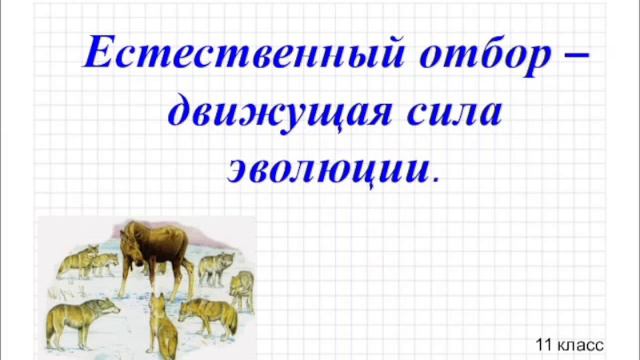Естественный отбор в природе. смотреть онлайн