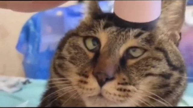 НЕЙРОСЕТЬ СКАЧАТЬ БЕСПЛАТНО ФУЛЛ ХДц смотреть онлайн