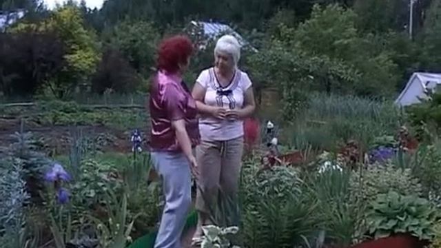 Дачные советы 28.06.2013 смотреть онлайн