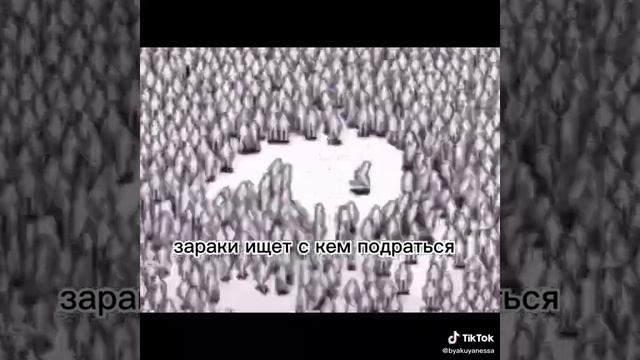 #bleach #блич #мемы #рекомендации смотреть онлайн