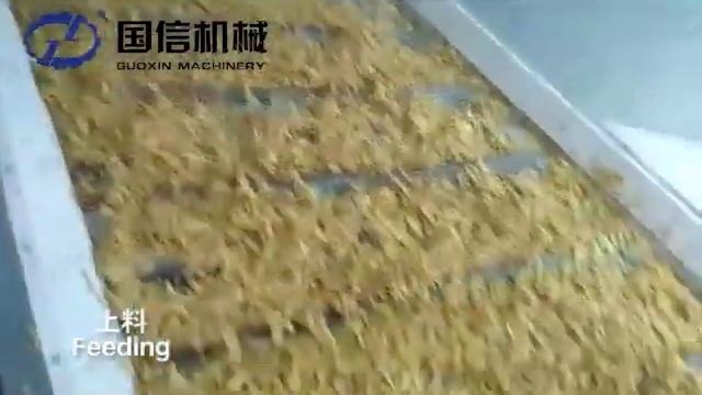 The video shows Polygonatum odoratum drying working site смотреть онлайн