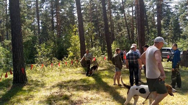 Алтайская Краевая выставка РПГ ринг выжлецов 2019 смотреть онлайн