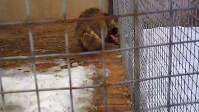 Нафаня смотреть онлайн