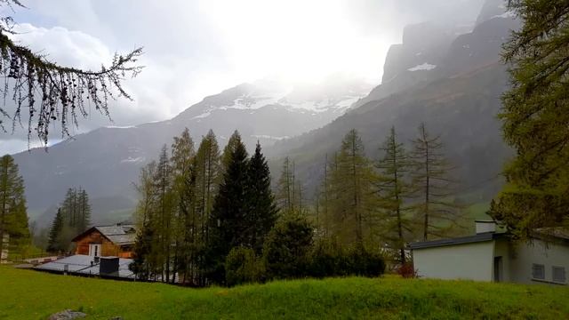 Это поможет вам выстоять во время великого бедствия! смотреть онлайн