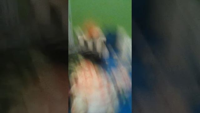 Бот Алиса И Картонный петя смотреть онлайн