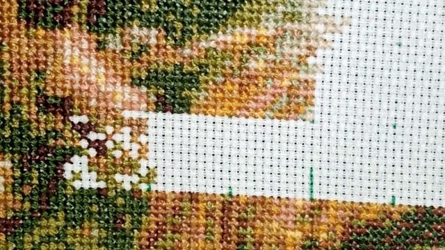 Живой процесс. Семья полосатых. смотреть онлайн