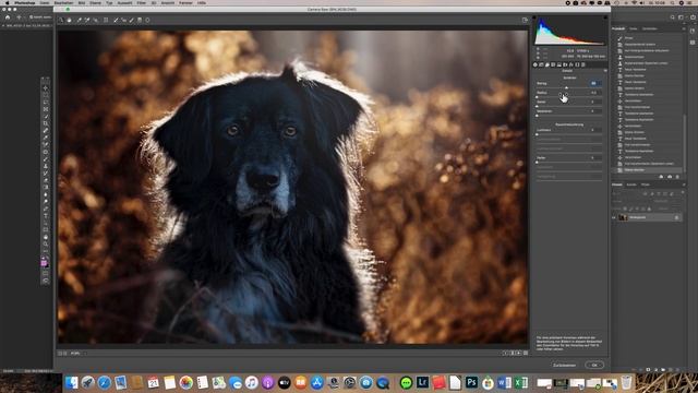 Photoshop Quarantäne Tipps, Tipp No 11: Schärfen in Camera Raw mittels ALT-Taste смотреть онлайн