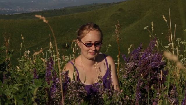 Полевые цветы Кок Лай Сай Луговое смотреть онлайн