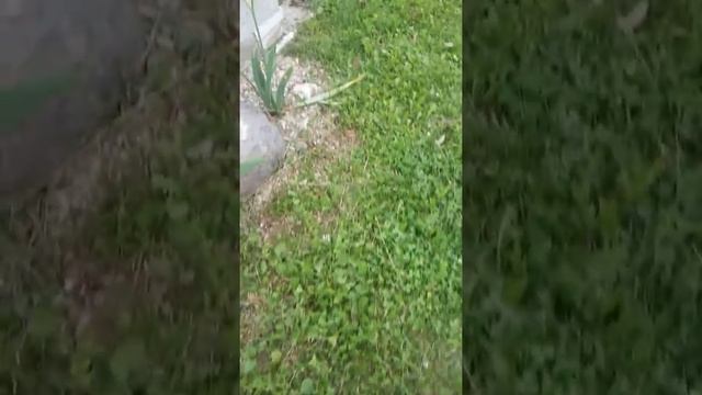 Краска из пенопласта для бетона своими руками подходит для пола гаража Foam paint for concrete смотреть онлайн