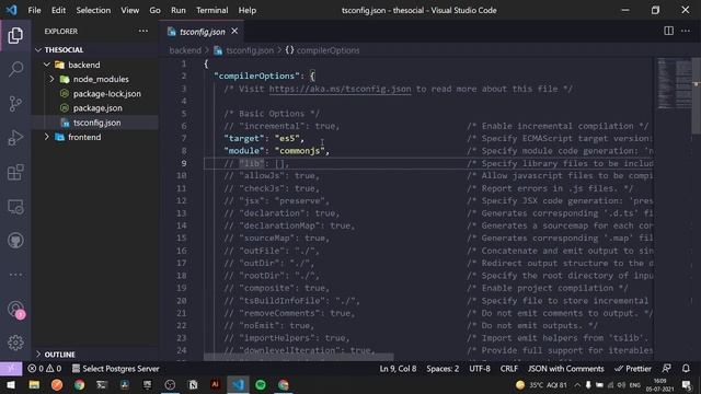 0.Server Setup | Flutter Social Media App With Custom Backend | Flutter Social Media App смотреть онлайн