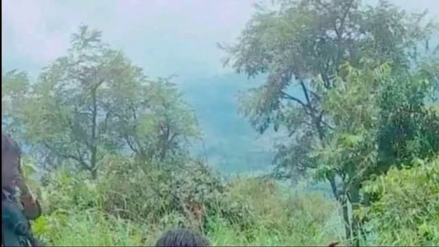 Jeneraalonni pp wal ajjeefte, wbo'n kaampii dhidheessaa haleele смотреть онлайн