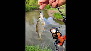 С ЭТОЙ ОСНАСТКОЙ ТЫ ПОЙМАЕШЬ РЫБУ В ЛЮБОЙ ЛУЖЕ#рыбалка #спиннинг #мормышинг #ловля #fishing