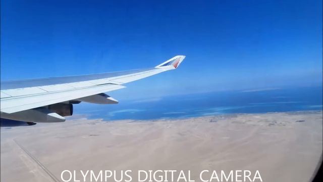 Птица Ибис смотреть онлайн