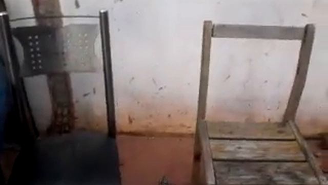 Magico dos magicos смотреть онлайн