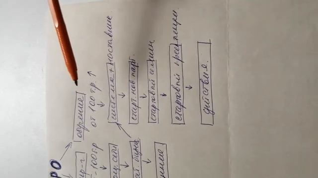 Система работы в сетевом,простыми словами. смотреть онлайн