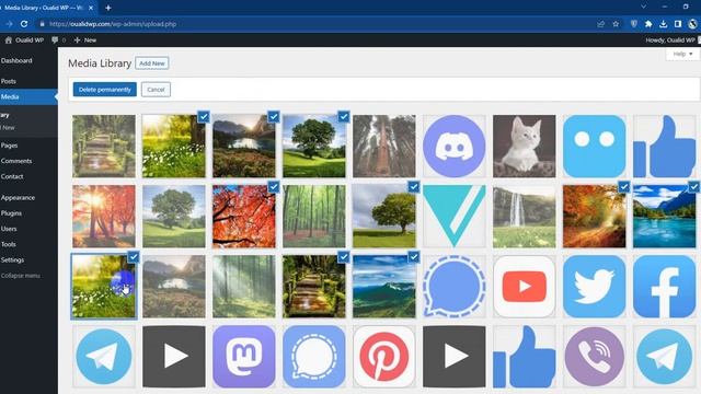 Delete Multiple Images in WordPress Media Library смотреть онлайн