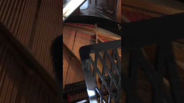 Y. Berdux Grand Piano. Serial #214611. Source: westendpiano.com смотреть онлайн