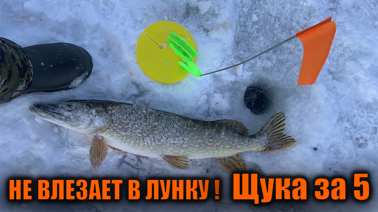 ЩУКА КОТОРАЯ НЕ ВЛЕЗАЕТ В ЛУНКУ - ТРОФЕЙ НА ЛЬДУ - Рыбалка на жерлицы смотреть онлайн