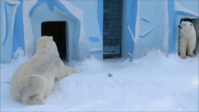 Кай и Герда вместе 27.02.2021 смотреть онлайн