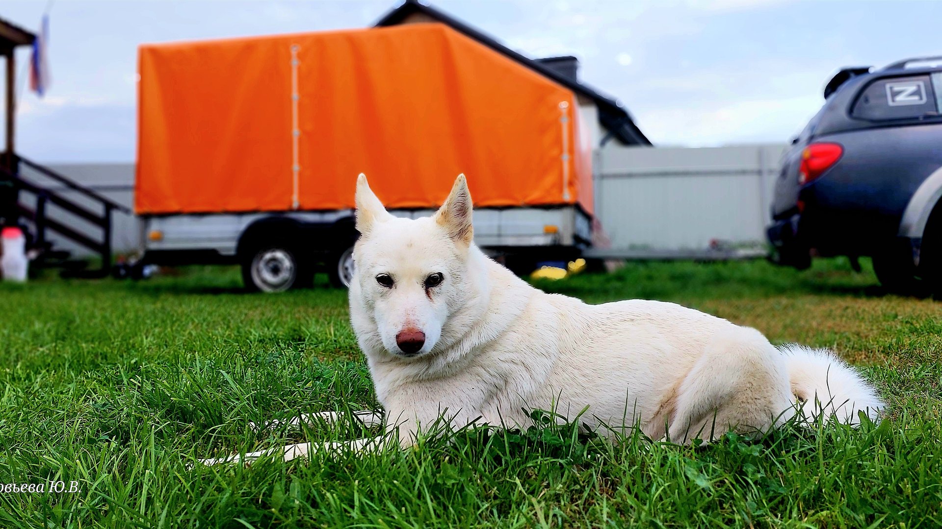 Замена тента на прицепе экспедиция