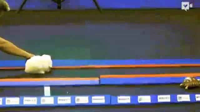 Как достичь своих целей, путь к успеху очень прост!