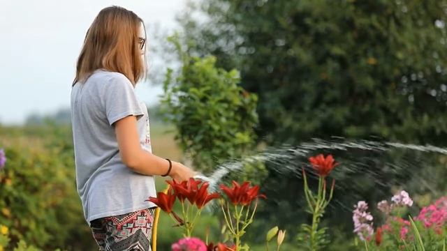 Цветы. Исп.группа "Dali". Муз.В.Шевченко, сл.А.Яркович смотреть онлайн