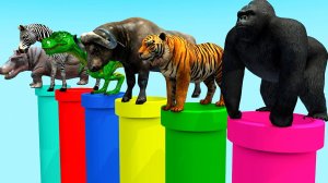 Перепрыгните через воздушный шар Горилла, Зомби T-Rex, Буффало, Слон, Бегемот, Тигр