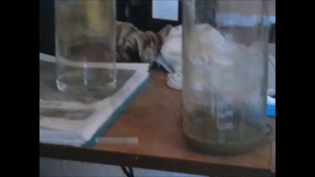 Электролит Золочения Своими Руками и Дома!!! смотреть онлайн