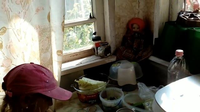 ВЛОГ: Как ловить бабочек, бабочный день! На меня села стрекозулька! смотреть онлайн