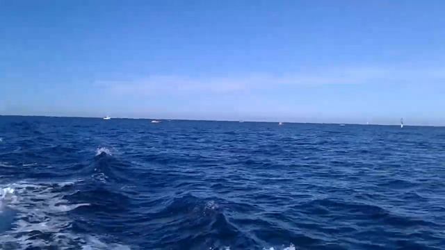 Морская рыбалка на ставридку 15.11.2022 Анапа смотреть онлайн