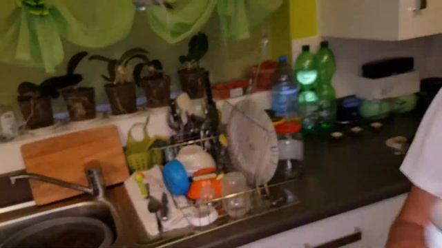 Искусство и Умелые Руки